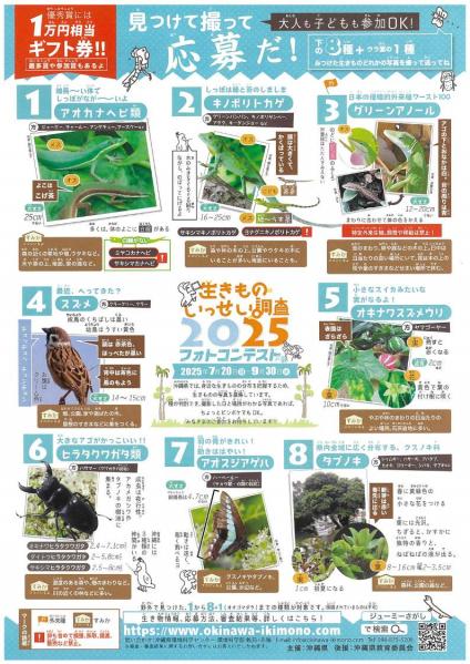 イベント画像